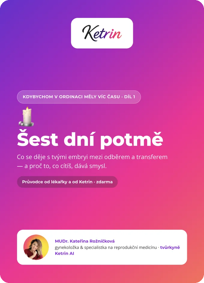 Obálka průvodce Šest dní potmě